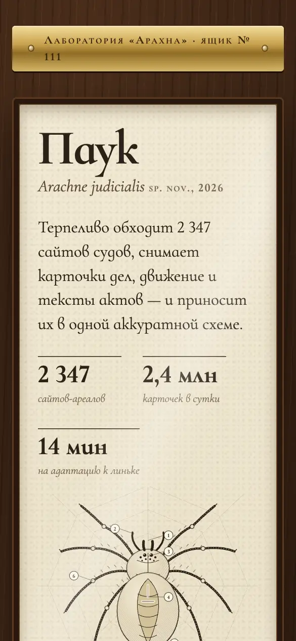 Паук — мобильная версия